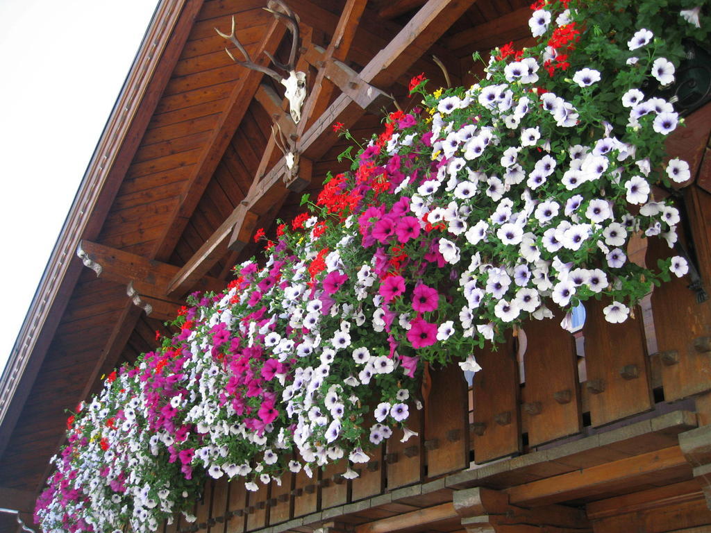 Haus Fernblick * Kappl (Landeck)